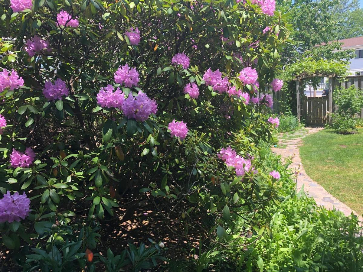The Stella Rose B&B Wolfville Ngoại thất bức ảnh
